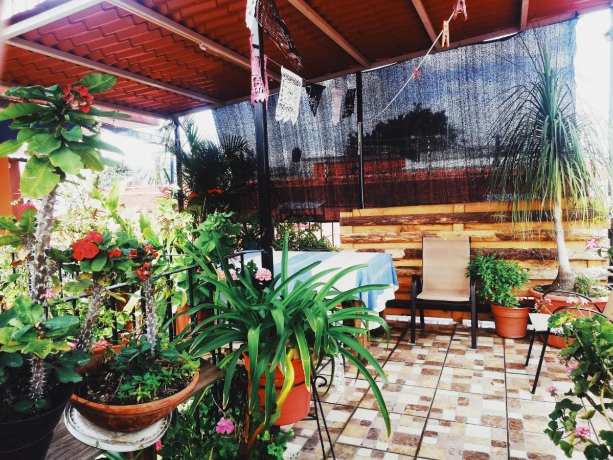 El Rincon De Dona Bety Hotel Oaxaca Exterior foto